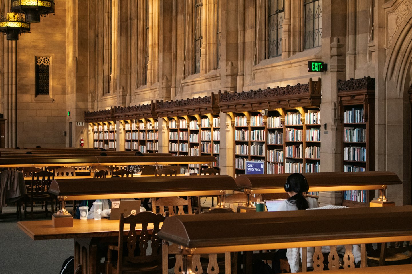 Student studying at a desk in a grand library.